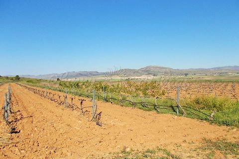 Farm hus i Yecla, Murcia, Yecla - € 410.000 | Ref: SF0064 - foto 19